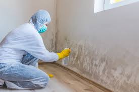 Best Basement Mold Removal in Mcfarland, WI