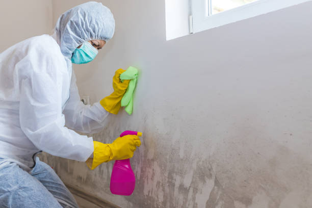 Best Environmental Consulting for Mold Prevention in Mcfarland, WI